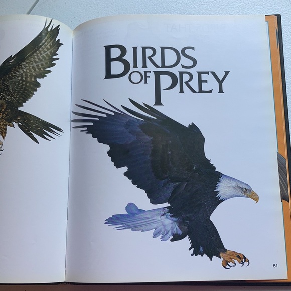 Animal Kingdom Hardback Book - Picture 9 of 16